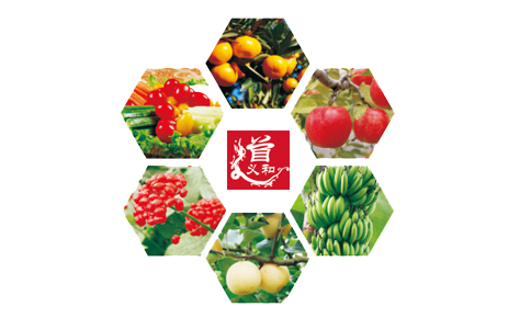 關(guān)于公司