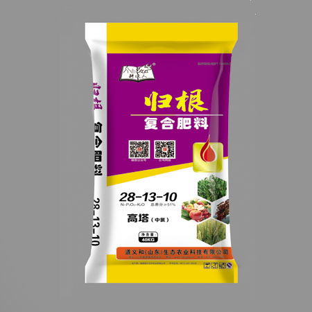  歸根28-13-10