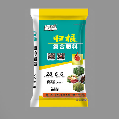 歸根28-6-6 