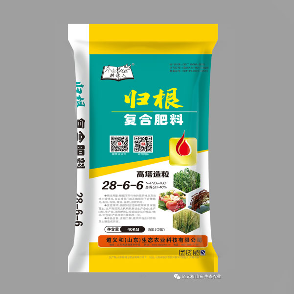  歸根28-6-6